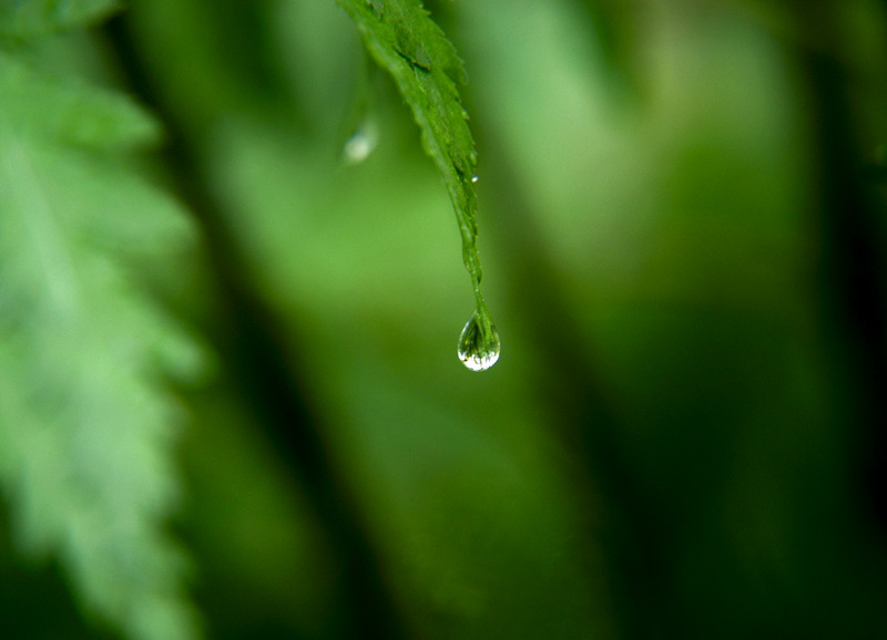 drop by drop