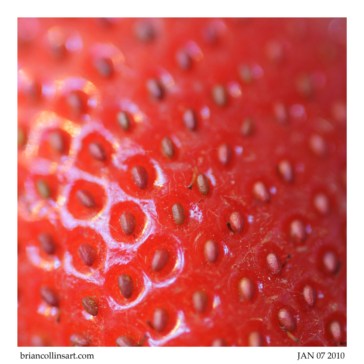 strawberry #3