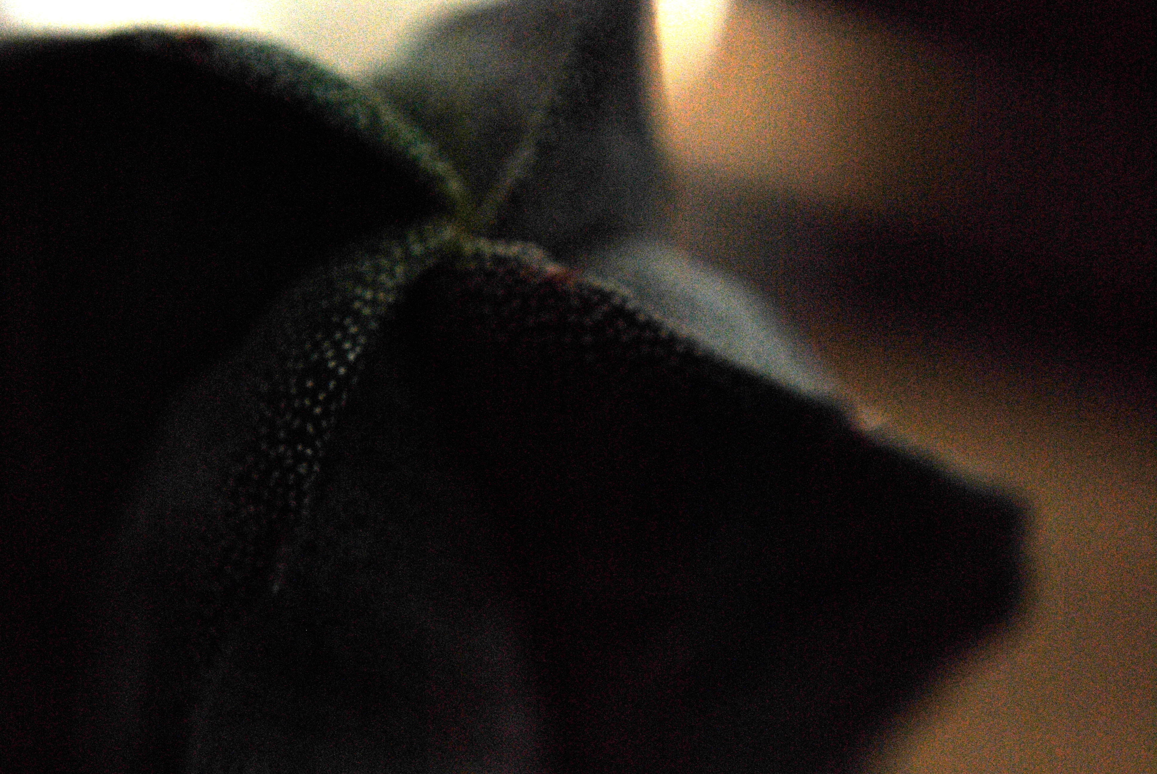 DSC_0293.JPG