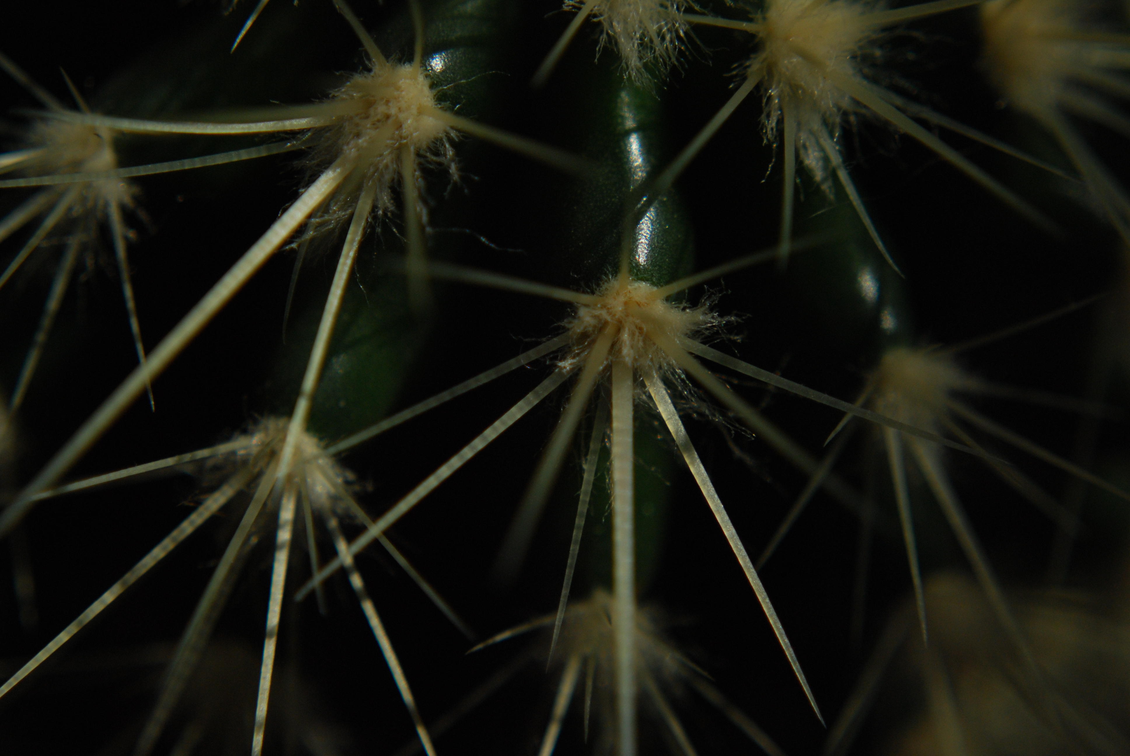 DSC_0291.JPG