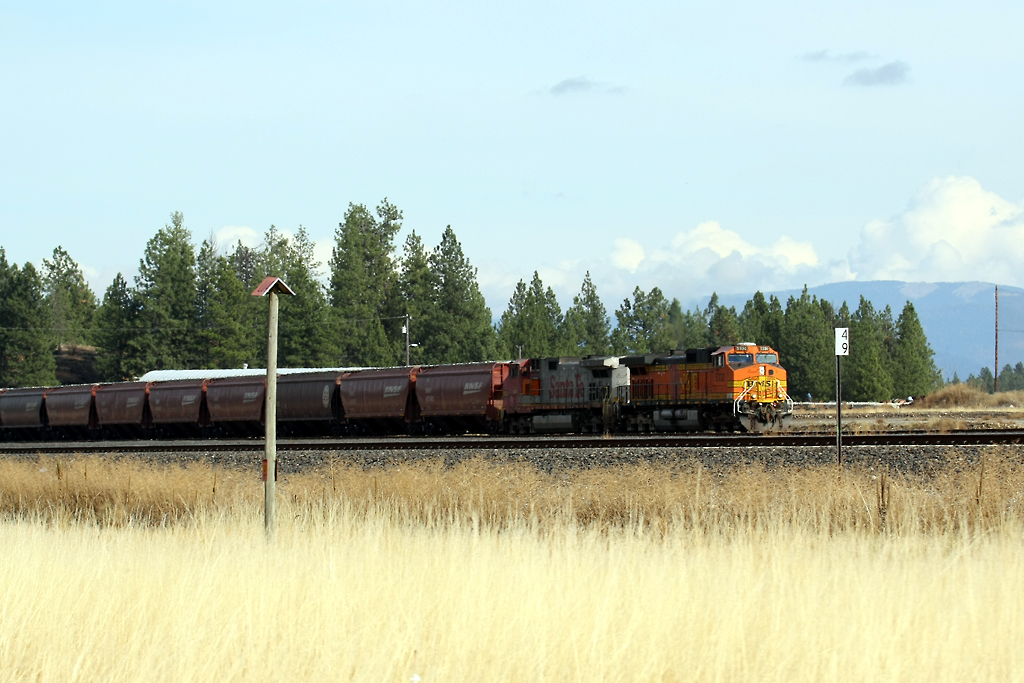 BNSF Grain at Hauser