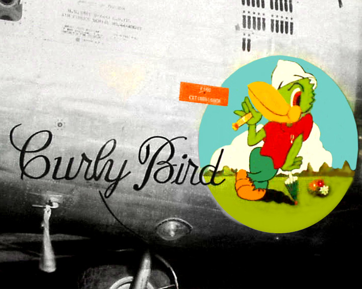 Curly Bird