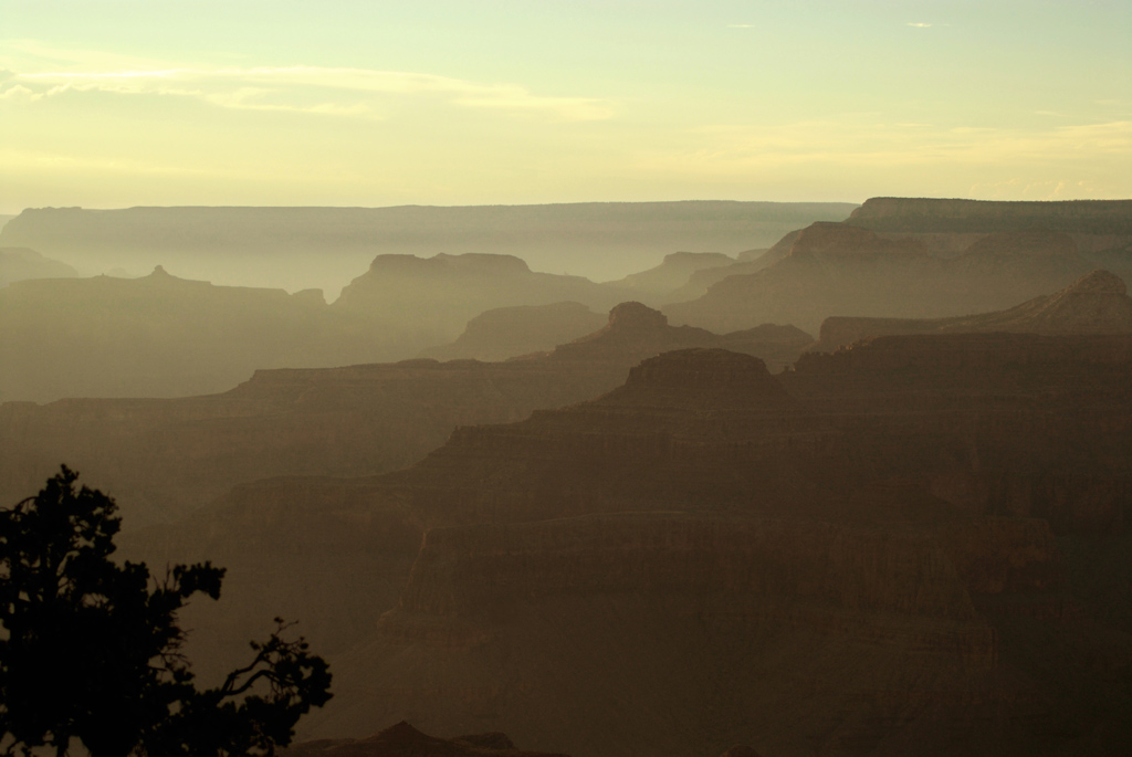 Canyon 6