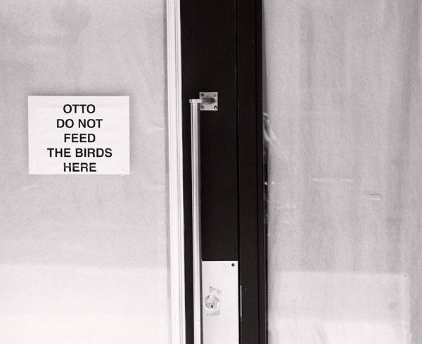 Otto Do Not Feed the Birds Here