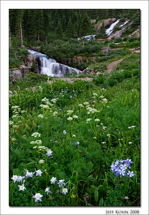 Cascade and Wildflowers, Sneffels Creek