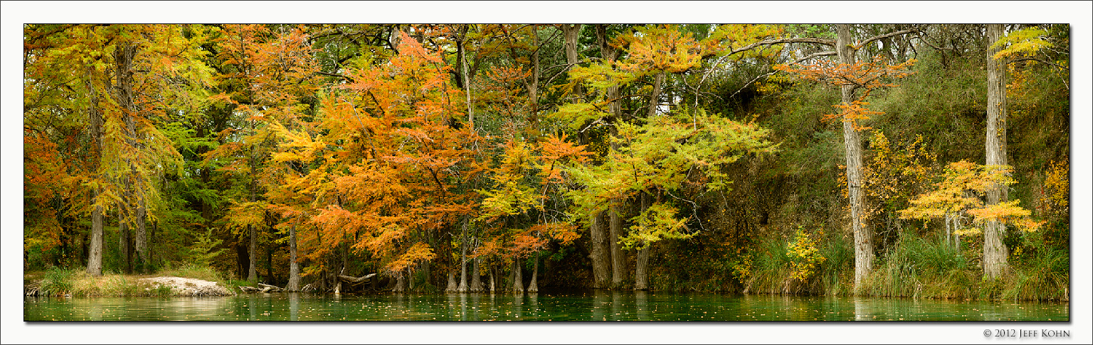 Cypress Grove, Frio River, Texas, 2012