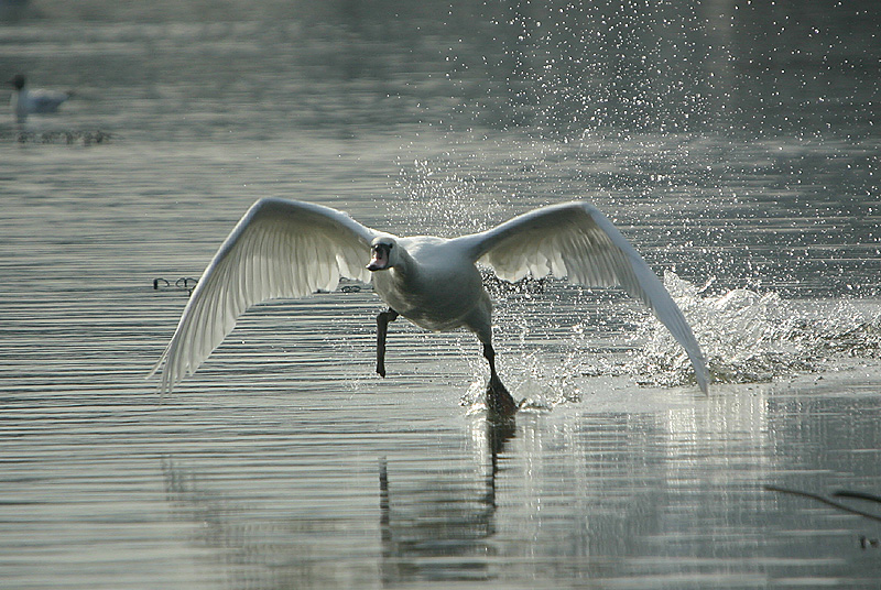 Ready for take off....