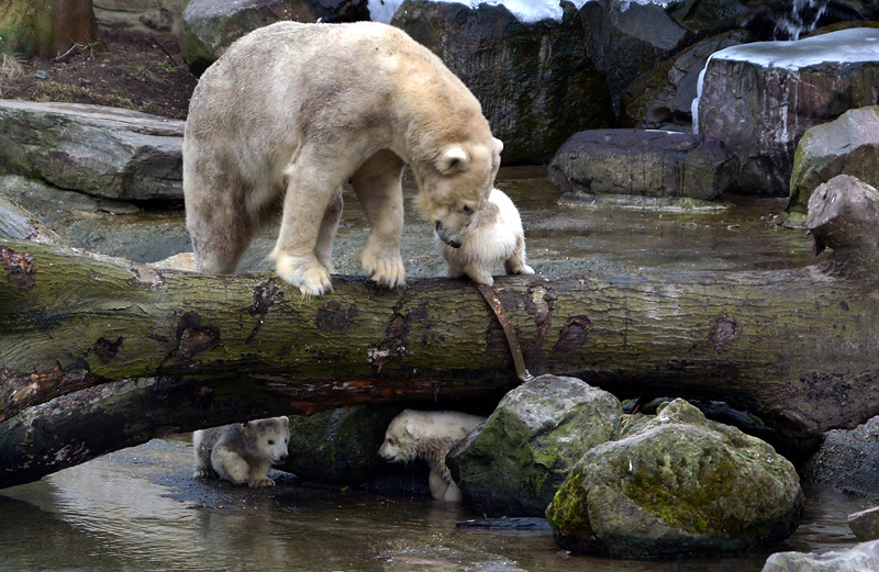 Water ballet