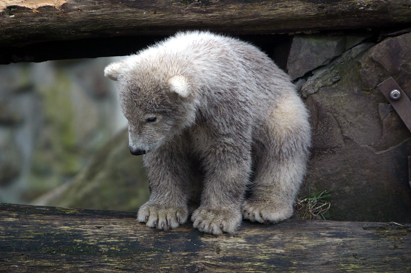 Mommy, look at me!
