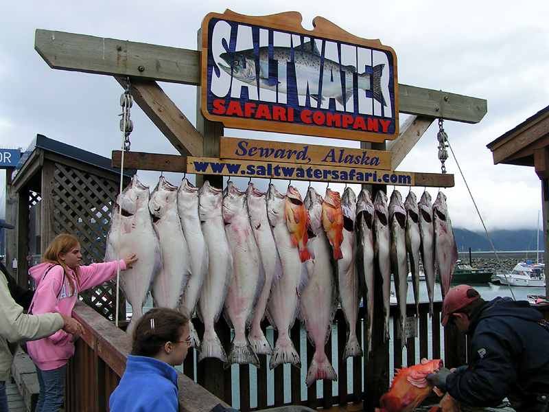 Seward harbor