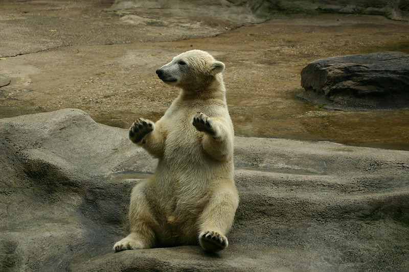 Time to sit back and relax