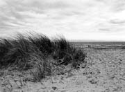 Wexford Beach (2)