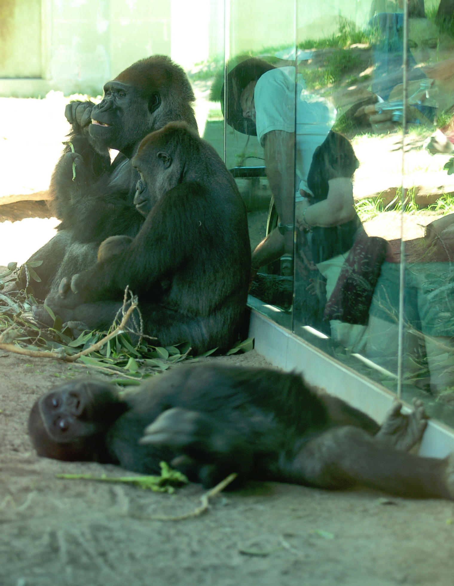 So lets have a snooze...