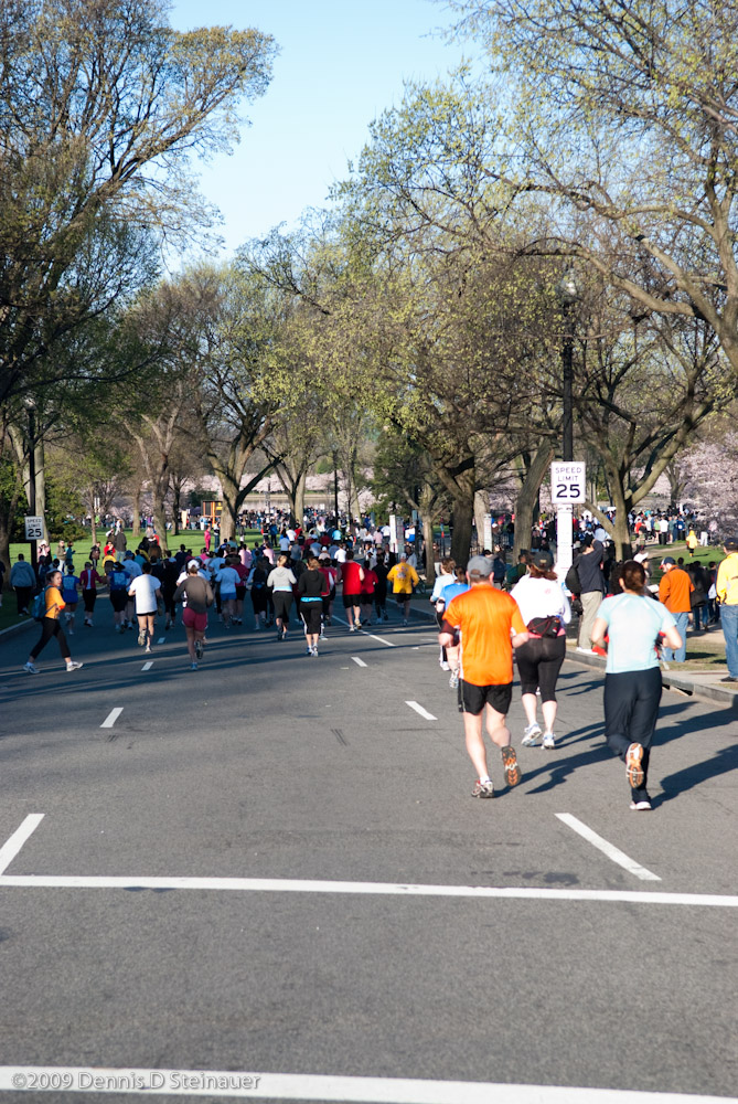 DS20090405_0355p.jpg