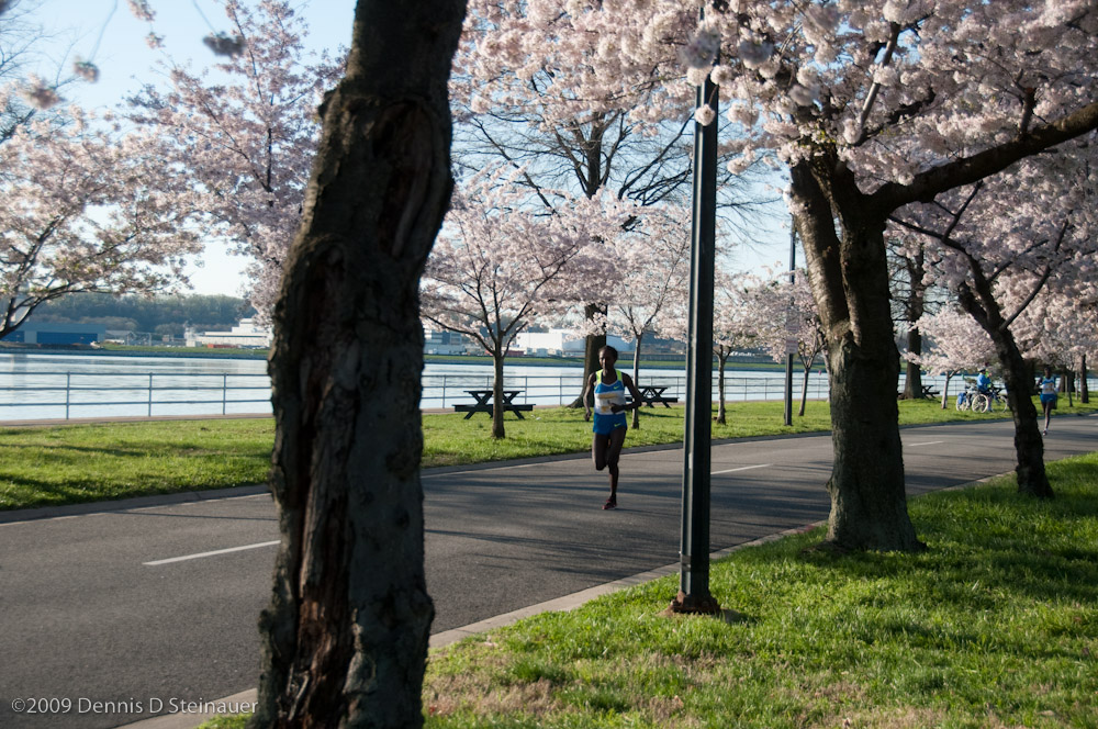 DS20090405_0399p.jpg