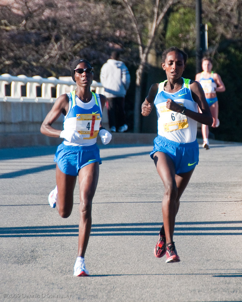 DS20090405_0493p.jpg
