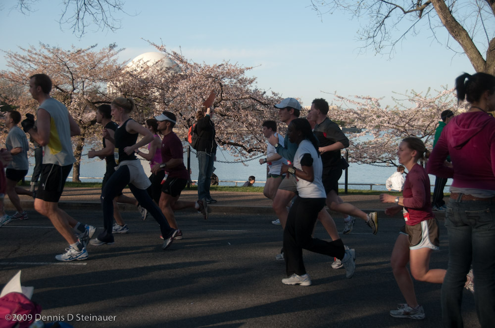 DS20090405_0550p.jpg