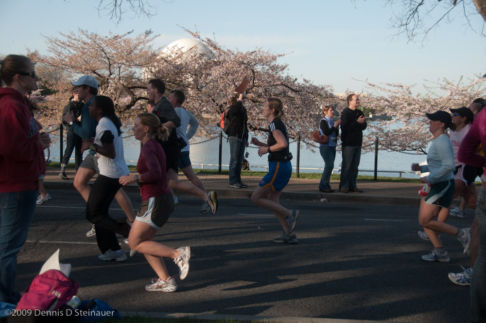 DS20090405_0551p.jpg
