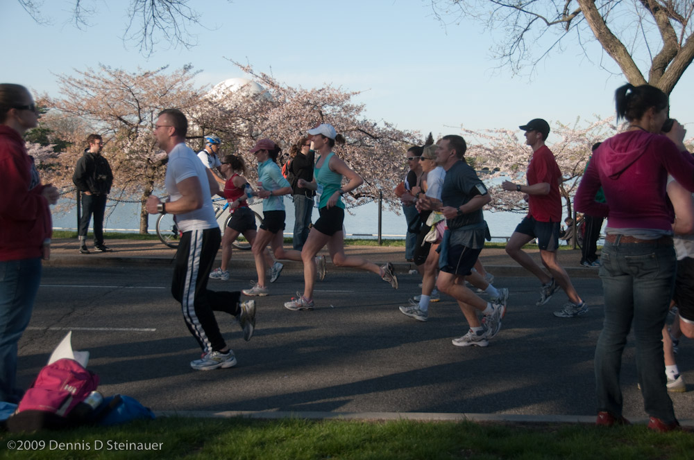 DS20090405_0555p.jpg