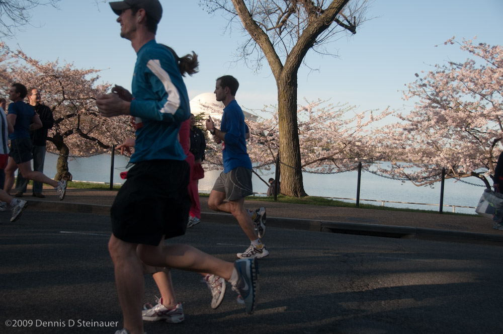 DS20090405_0566p.jpg