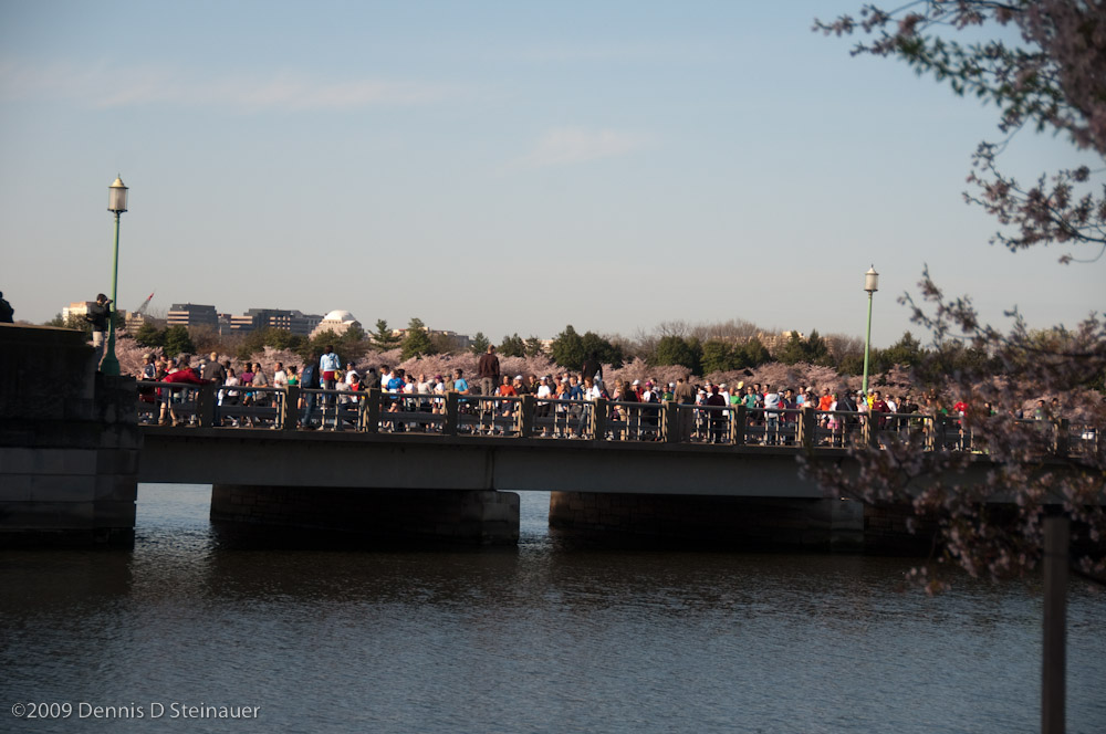 DS20090405_0672p.jpg