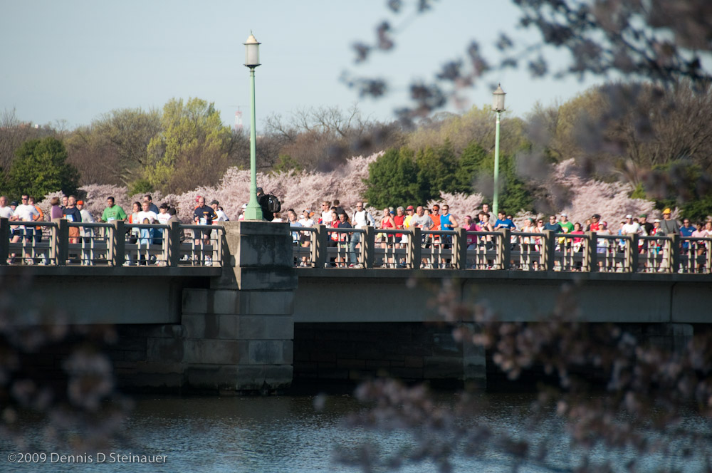 DS20090405_0676p.jpg