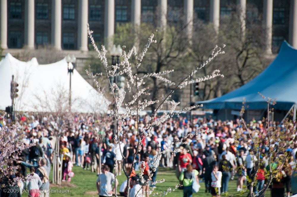 DS20090405_1229p.jpg