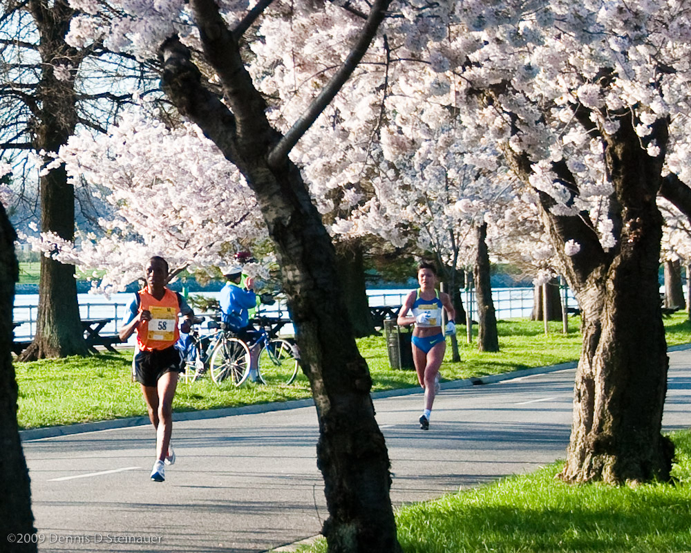 DS20090405_0401p.jpg