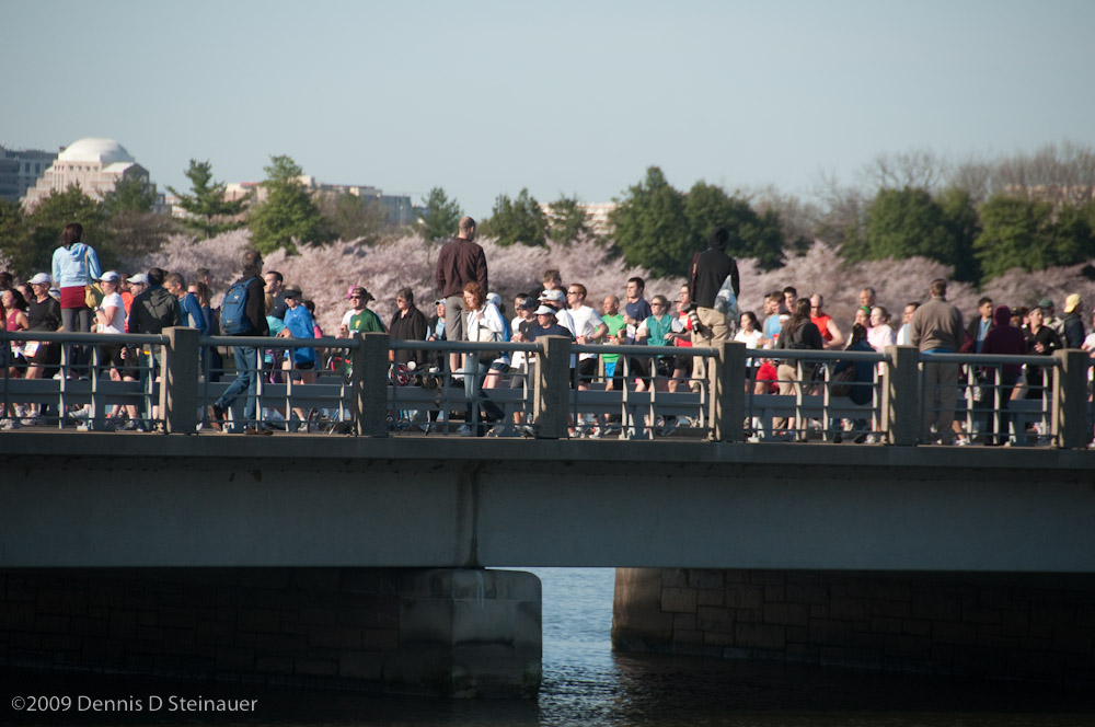 DS20090405_0673p.jpg