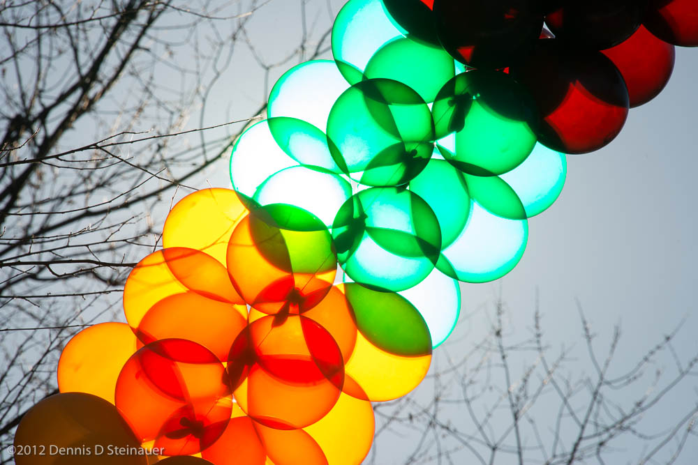 ds20121122-0279.jpg