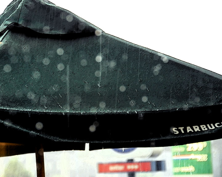 ds20060624a_0036a3w Umbrella in the Rain sumi-e.jpg