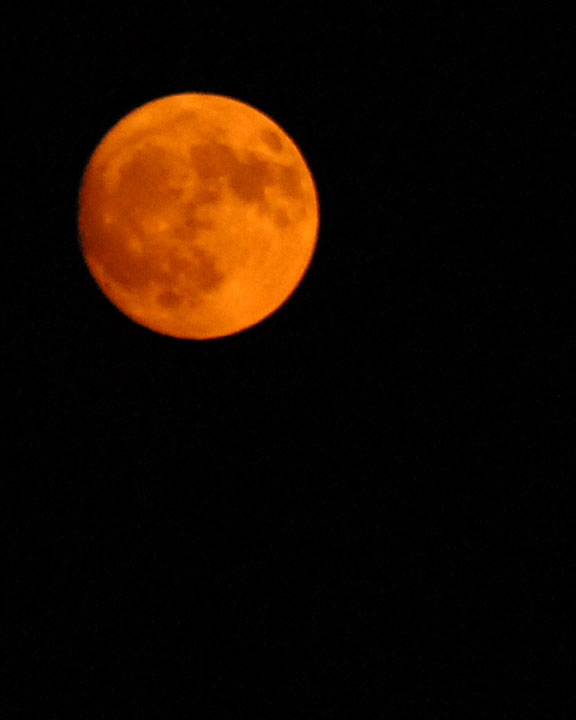 7/9/06 - The Moon is a Love Song<br>Happy Birthday, Sweetie!<br><font size=3>ds20060709_0020aw Full Orange Moon.jpg</font>