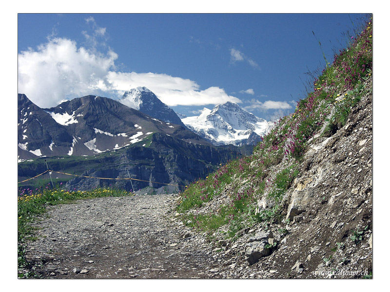 Axalp / Schwarzhorn / Faulhorn