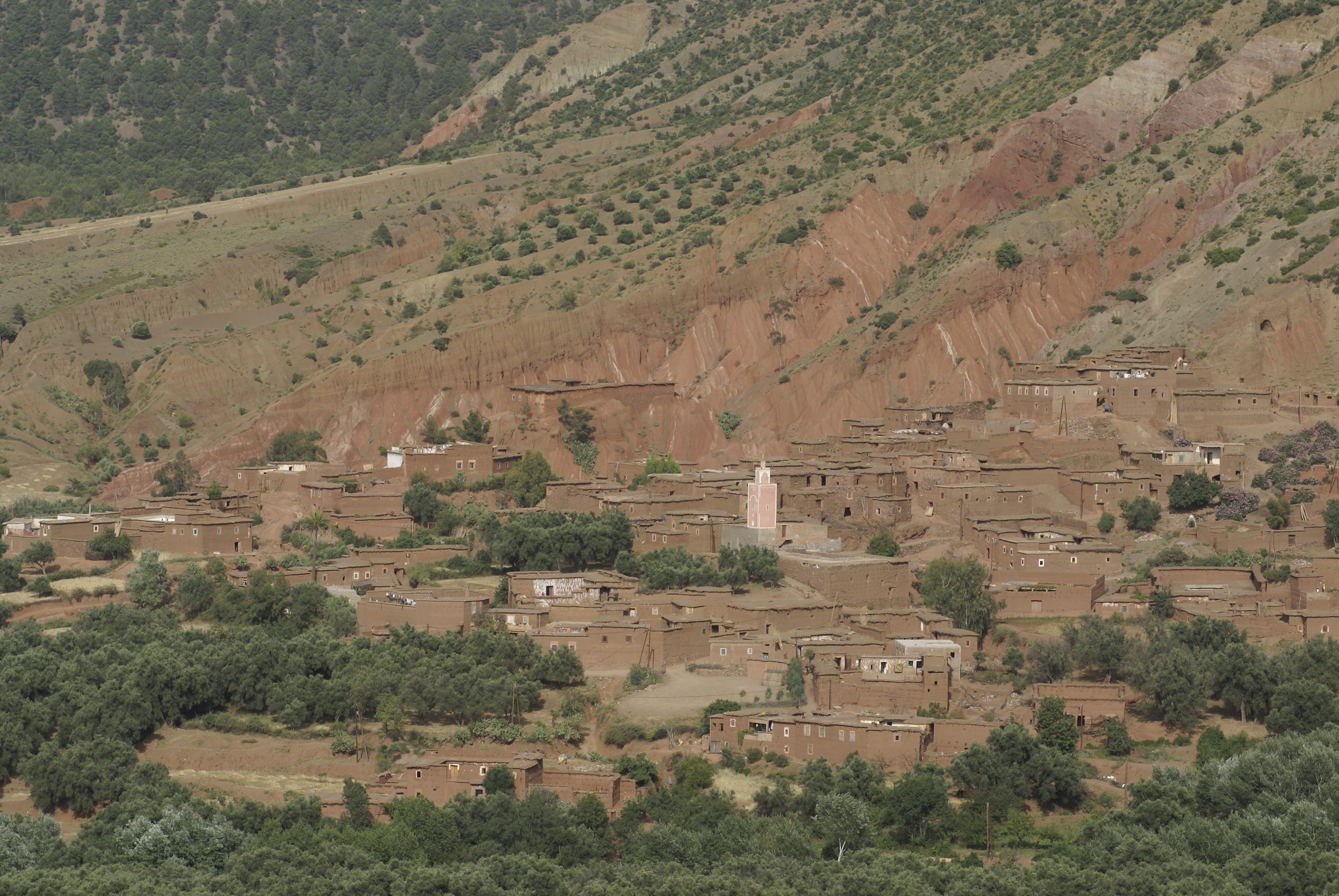 in-cameraAdobeRGB.JPG