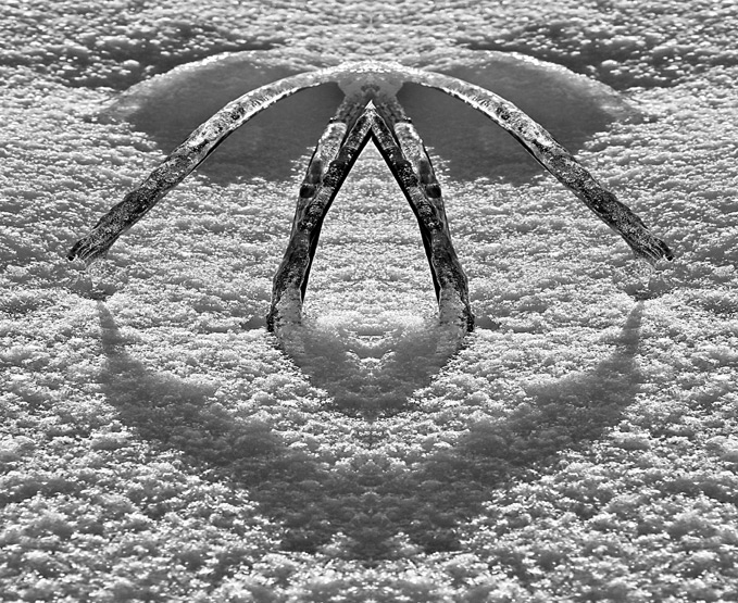 BONHOMME NEIGEUX