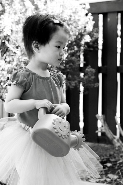 DSC_8775ss.jpg
