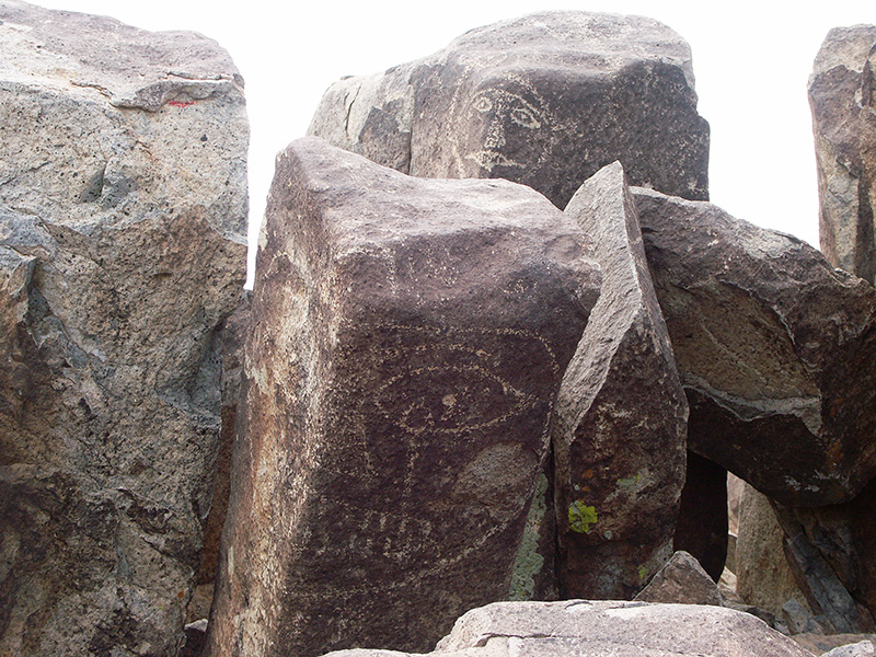 PICT5812a.jpg