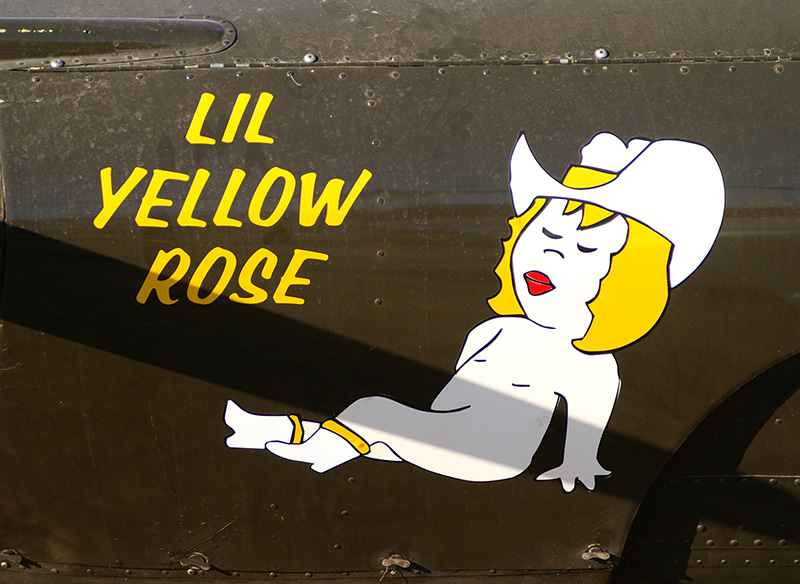 Ercoupe Lil Yellow Rose.jpg