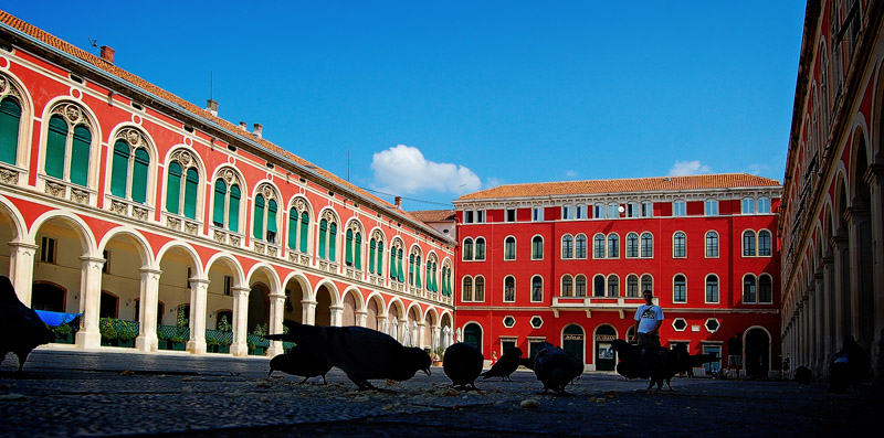 birdy square