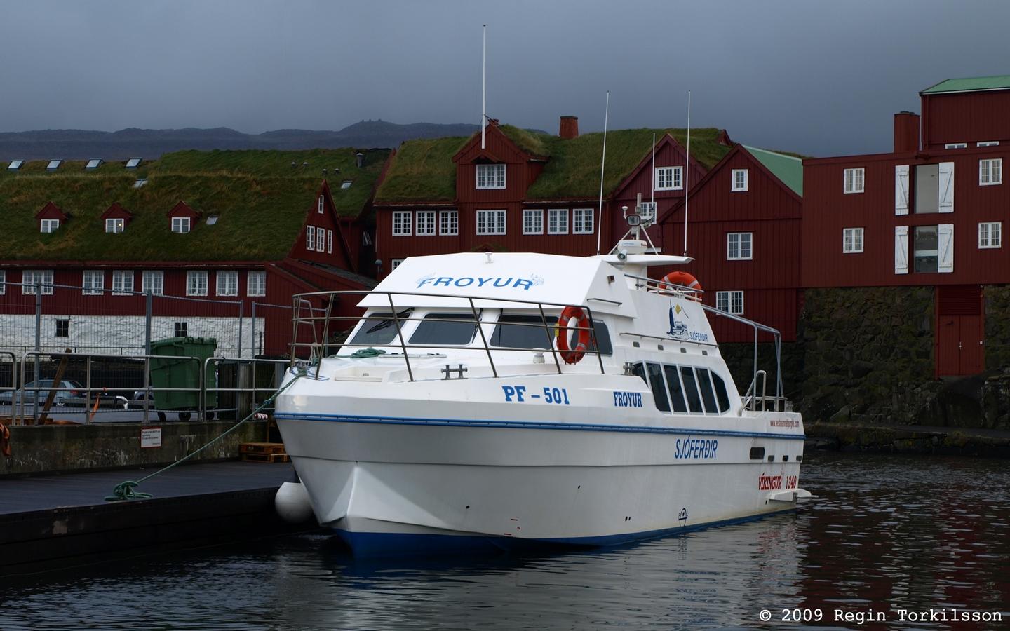 Froyur PF 501