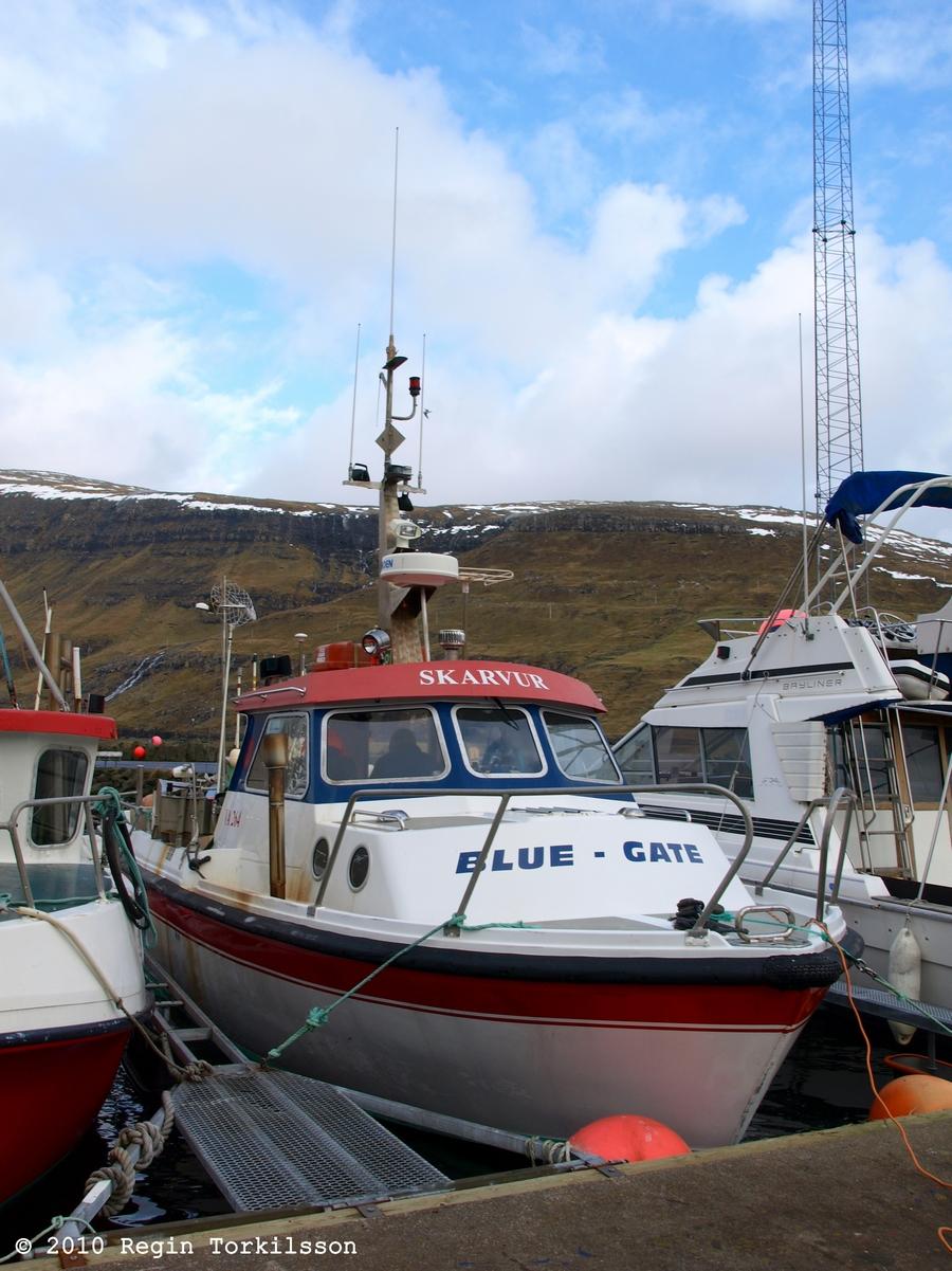 Skarvur VA 264