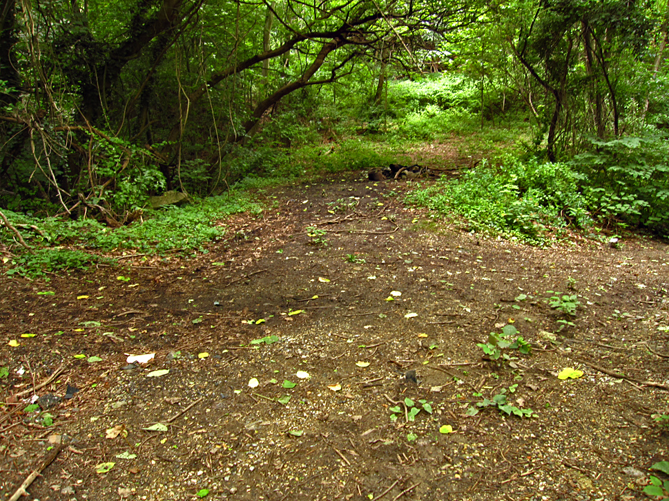 To the left the old steep path.  Ahead a clearing with campfire.  To the right the road continued down to the river.