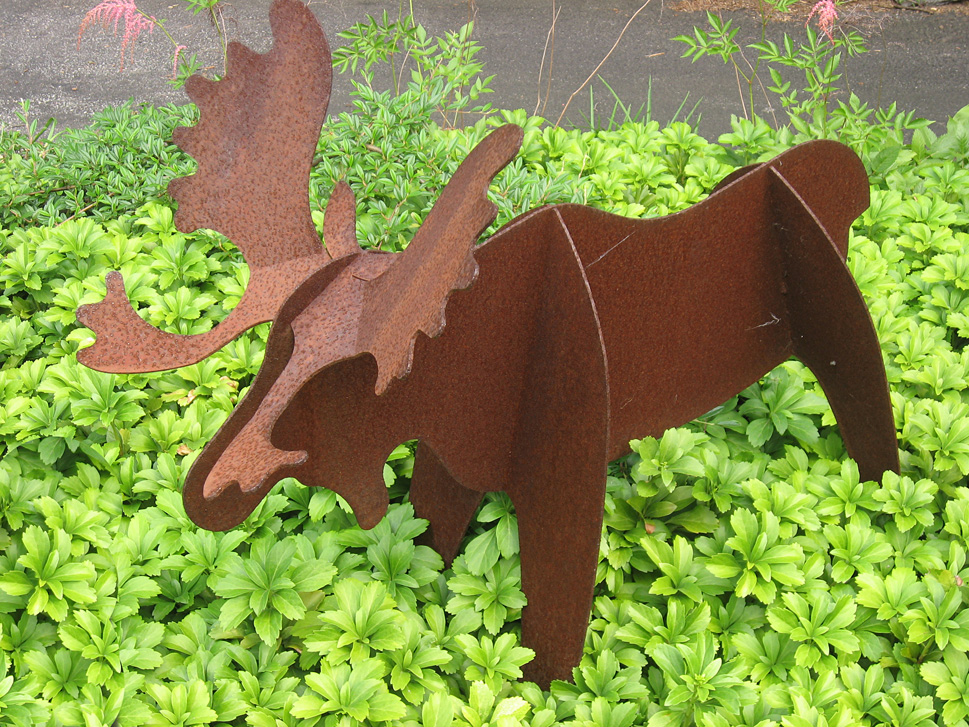 A moose in the garden