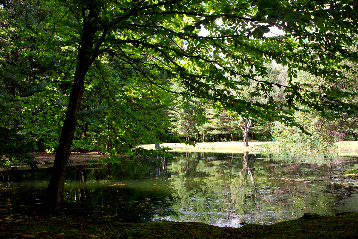 At A Small Pond