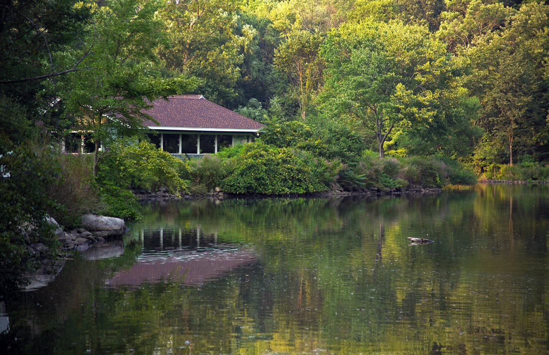 Another House by A Pond