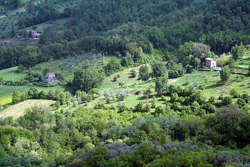 View from the footbridge 6617
