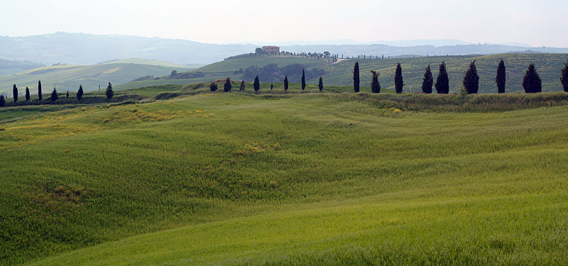 Tuscan countryside 6825a