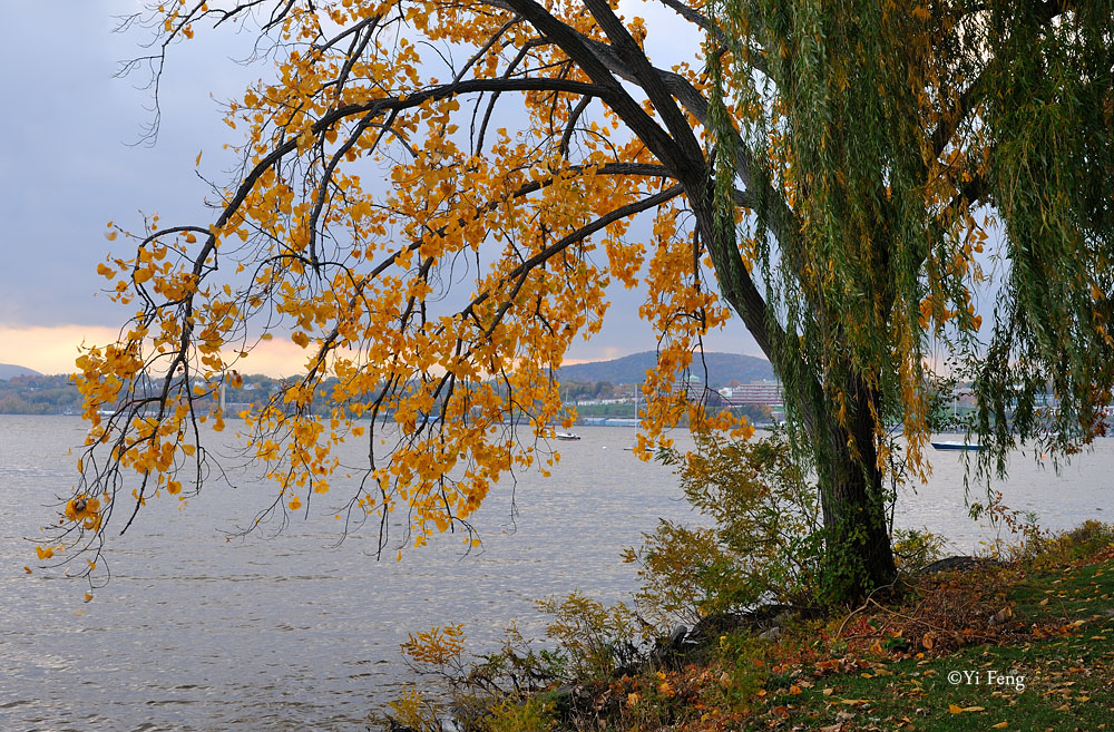 101026_001.jpg