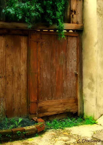 Porte brune - The brown Door