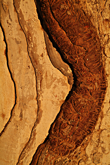 DSCF1136.JPG